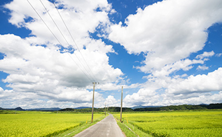 沿革